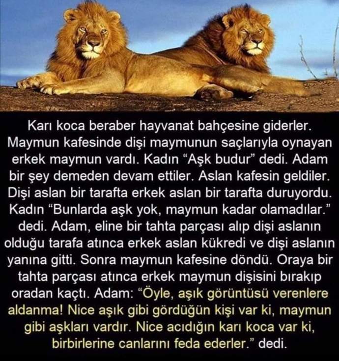 Göstermelik aşklara imreniyor musunuz?