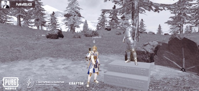 PUBG'deki isminiz nedir?