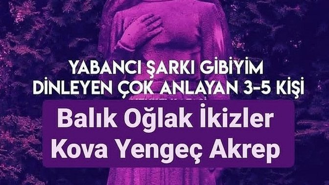Sizce görsele hangi burç eklenmeli?