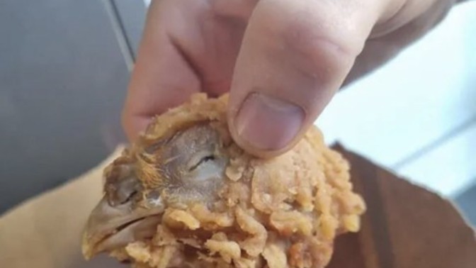 KFC tavuk kovasında tavuk kafası çıksa ne yaparsınız?