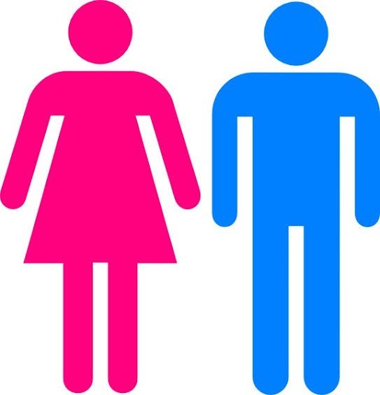 Bir günlüğüne karşı cins olsanız yapacağınız ilk şey ne olurdu?