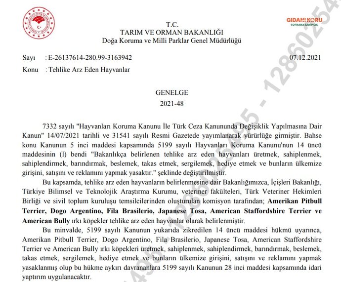 Pitbull yasaklanmalı mı? Geçen günlerde yaşanan olay ile ilgili ne düşünüyorsunuz?