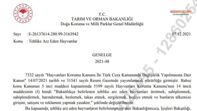Pitbull yasaklanmalı mı? Geçen günlerde yaşanan olay ile ilgili ne düşünüyorsunuz?