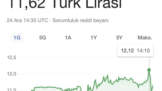 Dolarınız var mı?