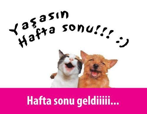 Hafta sonu planınız nedir?
