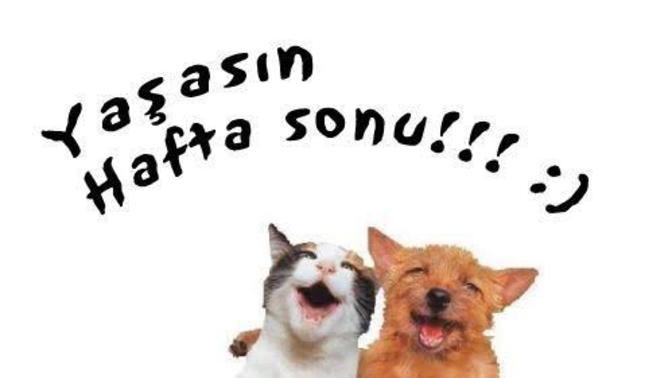 Hafta sonu planınız nedir?