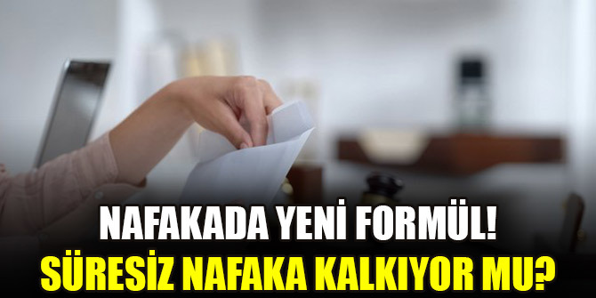 Yeni̇ nafaka düzenlemesi̇ nasıl olmalı?