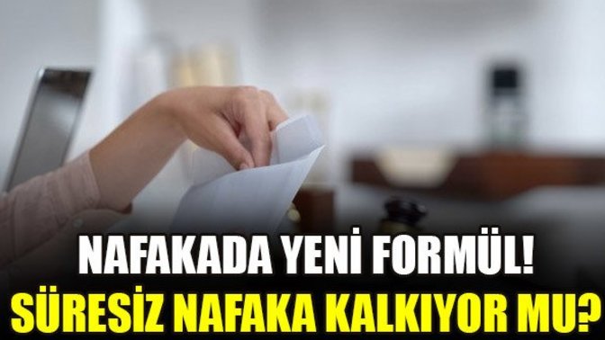 Yeni̇ nafaka düzenlemesi̇ nasıl olmalı?