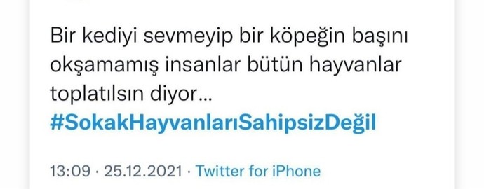 İnsanların başka derdi yokmuş gibi nedir bu #sokakhayvanları ile dertleri?