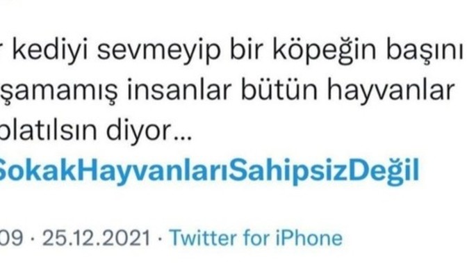 İnsanların başka derdi yokmuş gibi nedir bu #sokakhayvanları ile dertleri?
