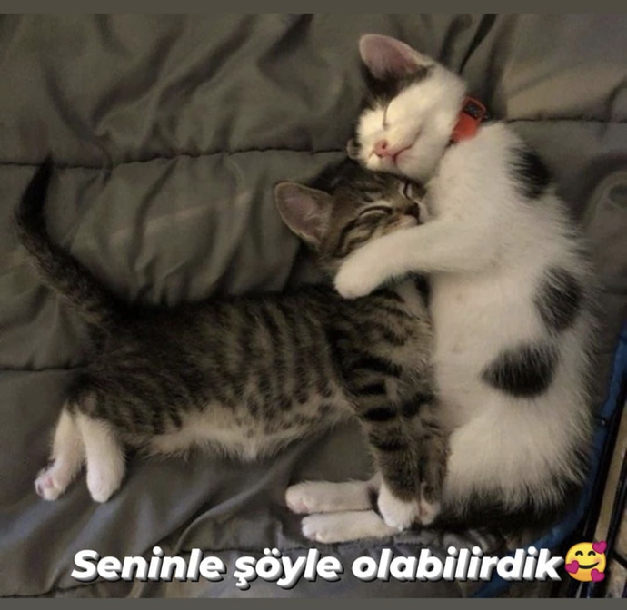 Birini unutabilmek için bir başkasıyla sevgili olur musun?