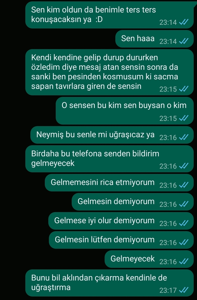Cok mu ters konuşmuşum?