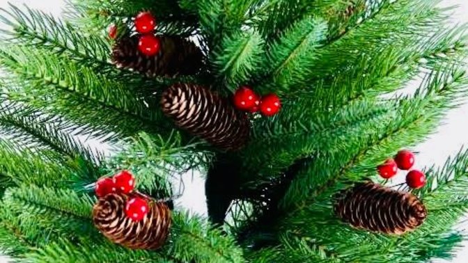 Noel/Yılbaşı kutluyor musunuz?