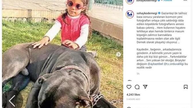 Sohayko Derneği aileden şikayetçi olacaklarını açıkladı. Ne düşünüyorsunuz?