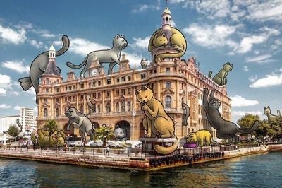 Bütün sokak hayvanlarının barınaklara kapatılacak olmasına tepki gösteren Kadıköy Belediyesi haklı mı?