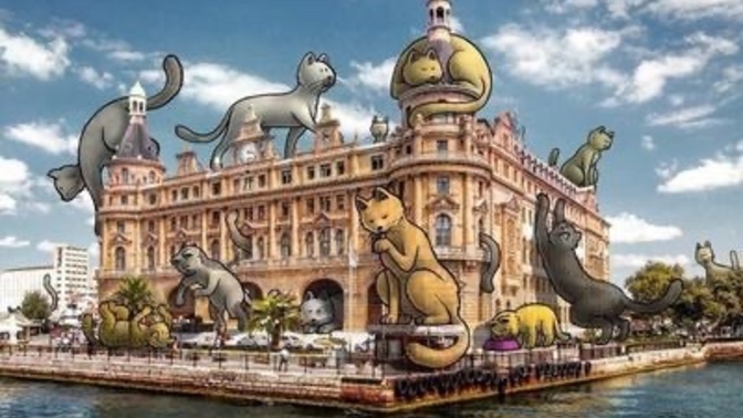 Bütün sokak hayvanlarının barınaklara kapatılacak olmasına tepki gösteren Kadıköy Belediyesi haklı mı?