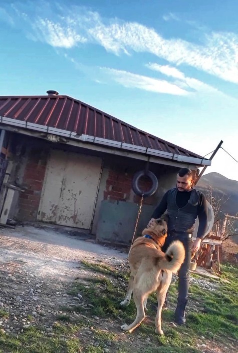 Yüzde kaç aşıksınız tahmin ediyim mi?
