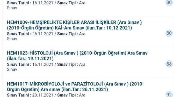 Vize notlarım nasıl sizce?