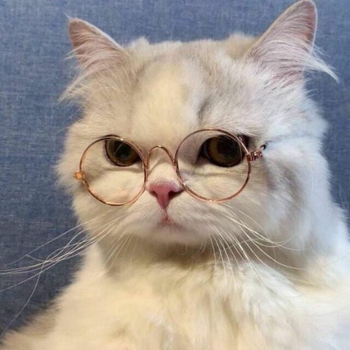 🤓