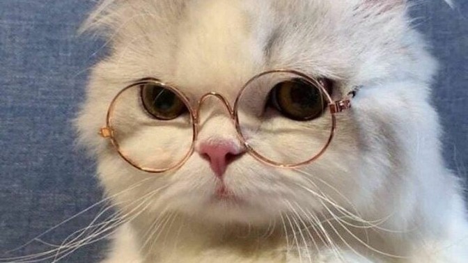Aşk her zaman mutlu eder mi?