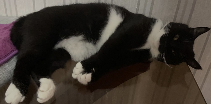 Sizinde böyle tatlı bir şeyiniz var mı?