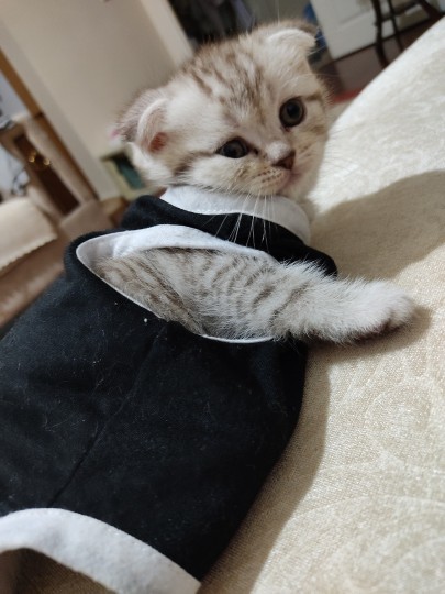Sizinde böyle tatlı bir şeyiniz var mı?