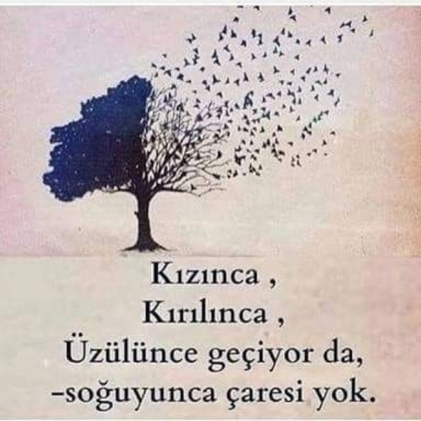 İnsana soğuyunca yeniden ısınabilir misiniz?