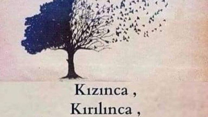 İnsana soğuyunca yeniden ısınabilir misiniz?