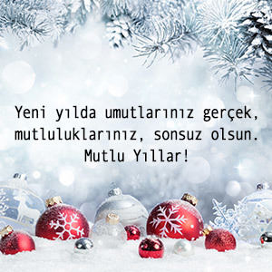 Bugün yeni yıla merhaba diyeceğiz. Sevdiklerinize yeni yıl mesajı atacak mısınız?