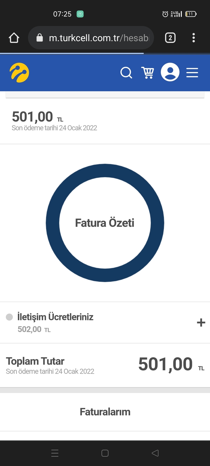 Ödediğiniz en yüksek fatura ne kadardı?