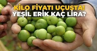 Yeşil erik kilosu 1000 TLden tezgahta, ne düşünüyorsunuz?