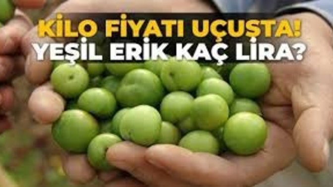 Yeşil erik kilosu 1000 TL'den tezgahta, ne düşünüyorsunuz?