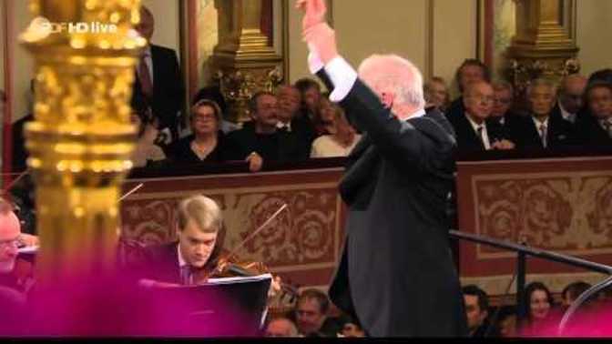 Viyana Filarmoni orkestrasının yeni yıl konserlerini izler misiniz?