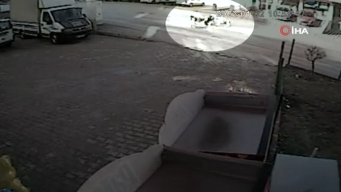 Ankara'nın Altındağ ilçesindeki başıboş köpekler, 10 yaşındaki bir çocuğa saldırdı. Sokak köpekleri toplanmalı mı?