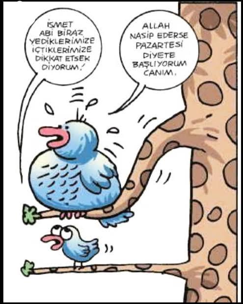 Diyete pazartesi mi başlanılmalı perşembe mi?