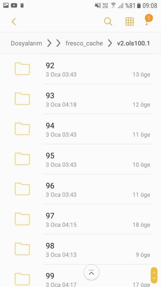 Telefonumun dahili depolama alanında, silinen mesajları, fotoğrafları geri getirme kalıntıları buldum. Normal mi?