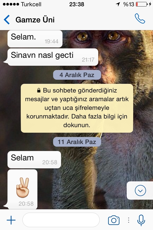 Sosyal medyada mesajınızı okuyup cevap vermeyenler için düşünceniz nedir? Aynısını yapıyor musunuz?