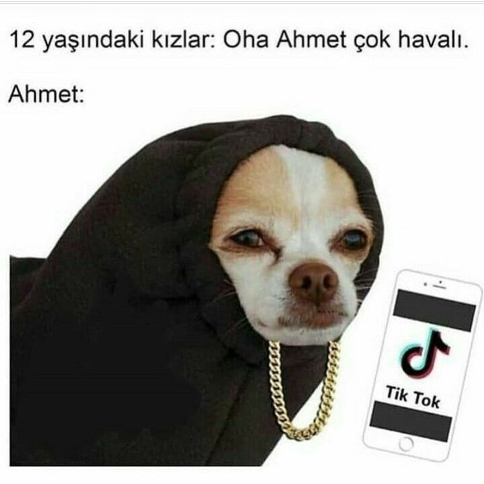 Bıçaklanan birisi tehlikeli midir?