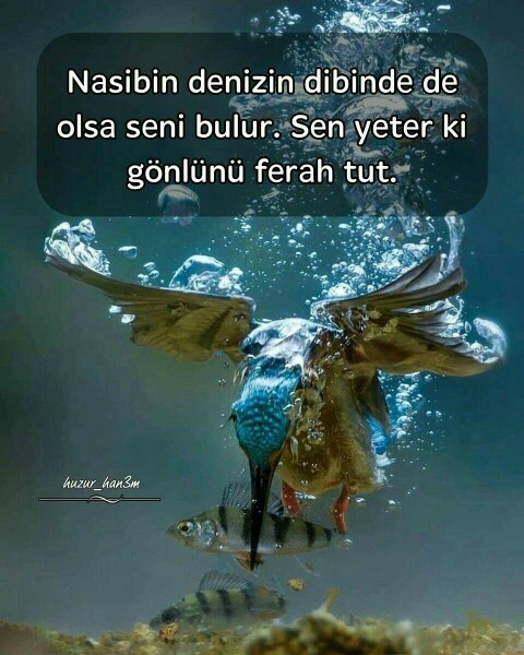 İnsanlar neden sürekli mutluluğunu ispat etmek zorunda hissediyor?