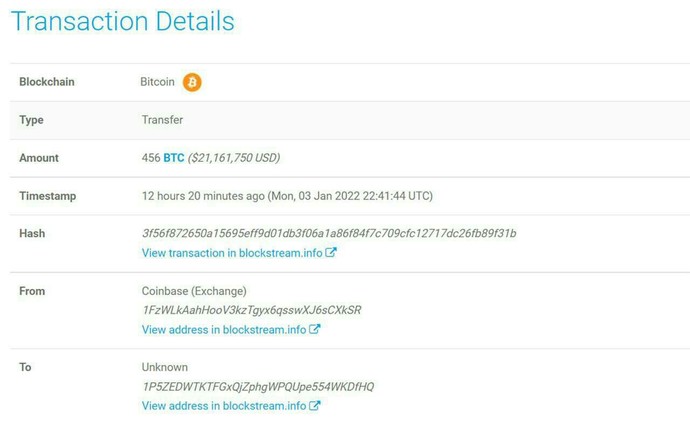 Sadece 1 bitcoine sahip olsaydın kendini zengin hisseder miydin?