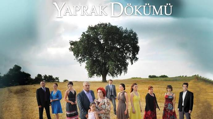 Ay Yapımın en beğendiğiniz dizisi hangisi?