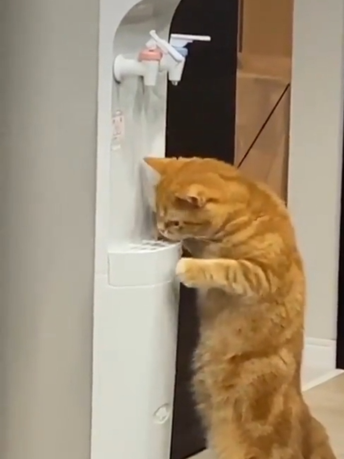 Size son zamanlarda garip gelen şeyler ya da  bir şey var mı?