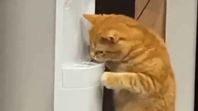Size son zamanlarda garip gelen şeyler ya da  bir şey var mı?