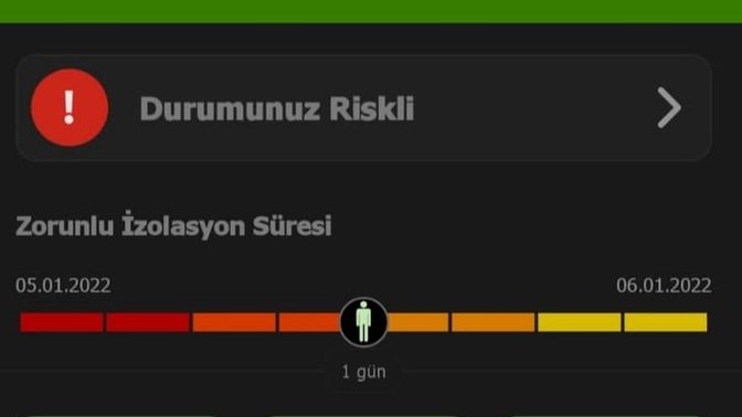 Korona mı çıktım?