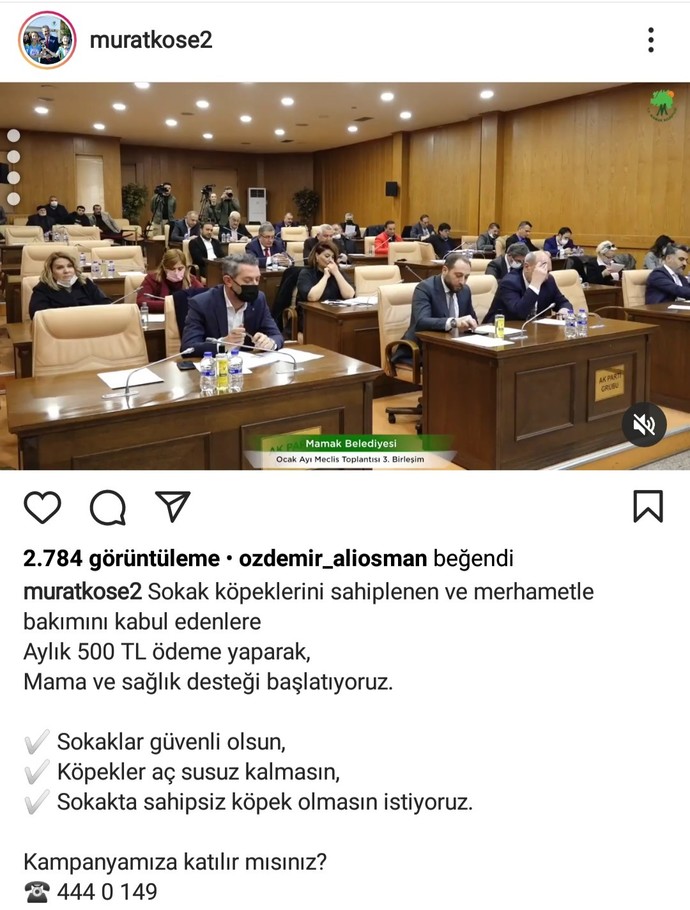 Sokaktan hayvan sahiplenene 500 TL destek. Siz böyle bir durumda sokak hayvanı sahiplenir misiniz?