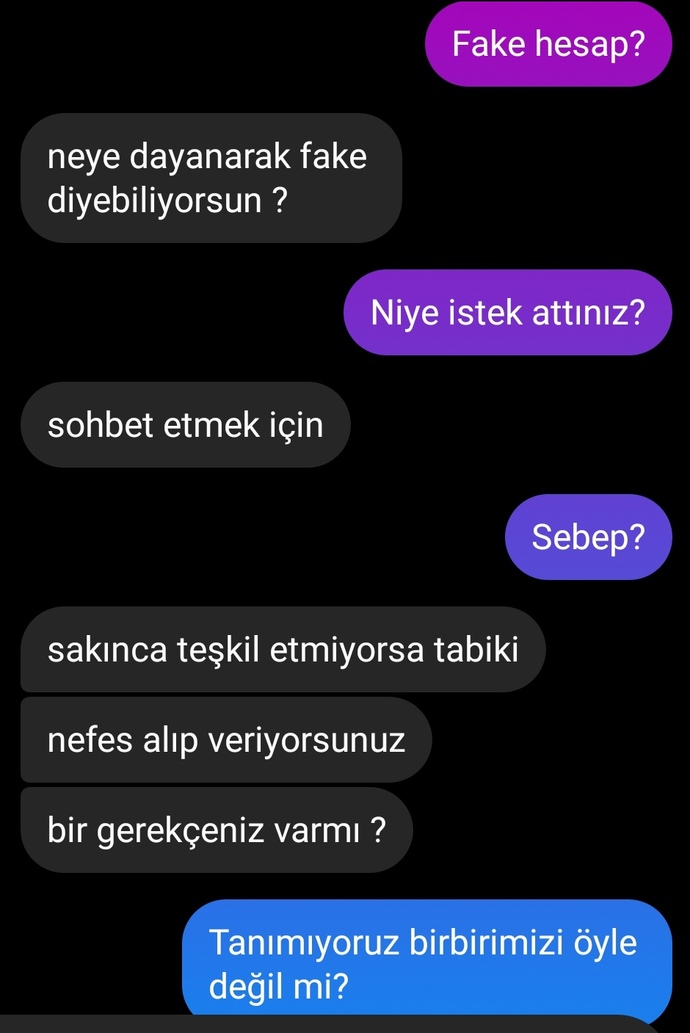 Israrla Instagram da istek attı ben sildim? Daha sonra bu şekilde mesajlasmamiz oldu? sizce tanıdık biri midir?