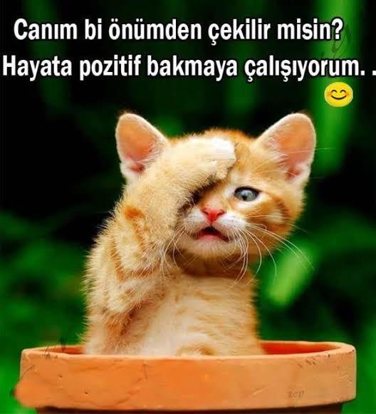 Hayata nasıl pozitif bakabiliyorsunuz?