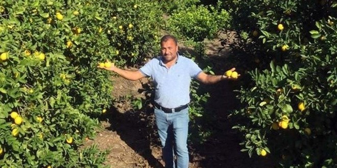 Limon üreticileri isyanda: Adanada 450 ton limon çöpe gidecek! Türkiyede tarım nasıl yönetiliyor?