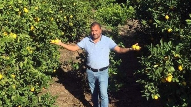 Limon üreticileri isyanda: Adana'da 450 ton limon çöpe gidecek! Türkiye'de tarım nasıl yönetiliyor?