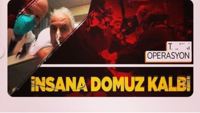 Dünyada ilk kez "hayvandan insana" organ nakli yapıldı. Sen bunu kabul eder miydin? Ne düşünüyorsun bu konuda?